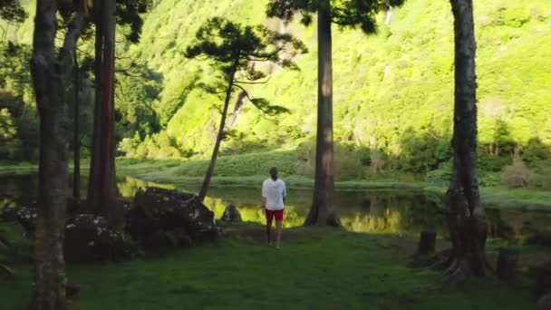 Imágenes aéreas del majestuoso jardín de la isla — Vídeos de Stock