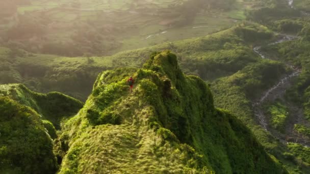 Parque Jurássico paisagem, coberto de fauna esverdeada vibrante como visto de cima — Vídeo de Stock