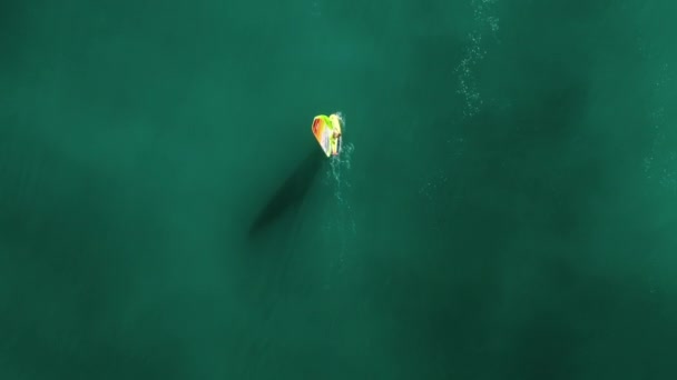 Drönarbilder av en vindsurfare i flata turkosa havsvatten — Stockvideo