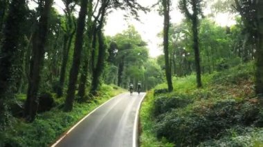 Ormandaki resimli yolda giden bisikletçilerin hava manzarası.