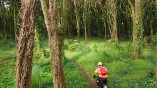 在茂密的森林里骑自行车穿过山路的空中景观 — 图库视频影像