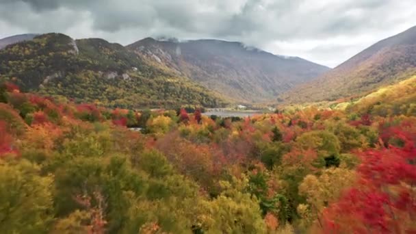 Coloridas copas de árboles con hojas giratorias con altas montañas en el fondo, 4K USA — Vídeo de stock