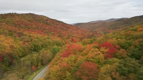 AERIAL Voando acima de árvores coloridas deslumbrantes com folhas girando no dia nublado — Vídeo de Stock