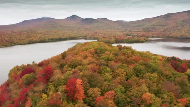 Барвистий ліс зі змішаними деревами, що повертають листя в помаранчеві, червоні яскраві кольори — стокове відео