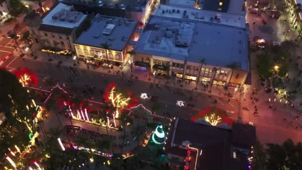 Foules gens heureux célébrant Noël, Nouvel An, Vacances dans la rue la nuit — Video