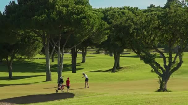 Kvinna tränar sina färdigheter i golf spel under de höga frodiga tallar — Stockvideo