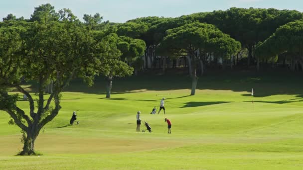 Família passar férias de verão enquanto treinam suas habilidades, jogando golfe — Vídeo de Stock