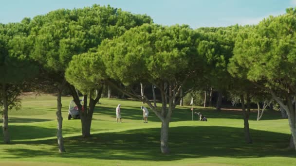 Familienwochenende im Golf Resort mit grünen Hektar der Plätze — Stockvideo