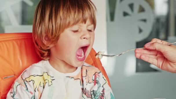 Close-up van een vrouwelijke hand houden van een vork met fruit om haar schattige zoon te voeden — Stockvideo