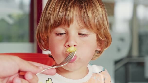 Porträtt av en bedårande blåögd pojke matad av sin mor — Stockvideo