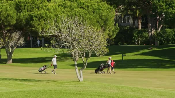 Coppia giocare a golf con il loro bambino, imparare a colpire una piccola palla — Video Stock