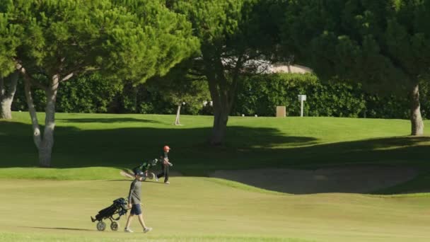 Barn spelar golf på grönskande idrottsskola — Stockvideo