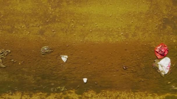 Vista de arriba hacia abajo en el flujo de río urbano sucio seco contaminado con bolsas de plástico EE.UU. — Vídeos de Stock