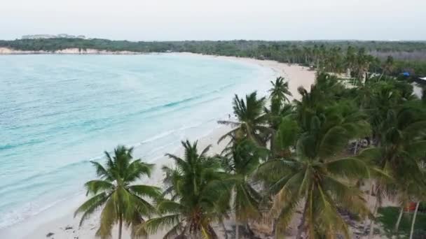 Hipnotyzujące wody oceanu myjące białą piaszczystą plażę widzianą z góry — Wideo stockowe