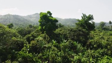 Mavi, berrak gökyüzünün altında yemyeşil ve canlı bitki örtüsü olan güzel yamaçlar.
