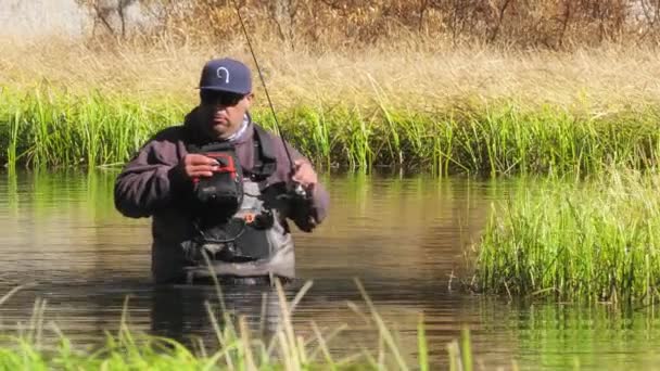 Vuxen fokuserad man går djupt vid dammen med fiskespö, Kaliforniens skog — Stockvideo