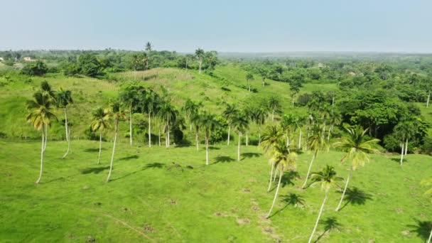 Angoli rurali della Repubblica Dominicana, formando unico, paesaggio tropicale — Video Stock