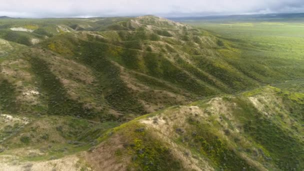 4K Vista panorâmica colinas verdes de San Andreas culpa causando terremotos EUA — Vídeo de Stock