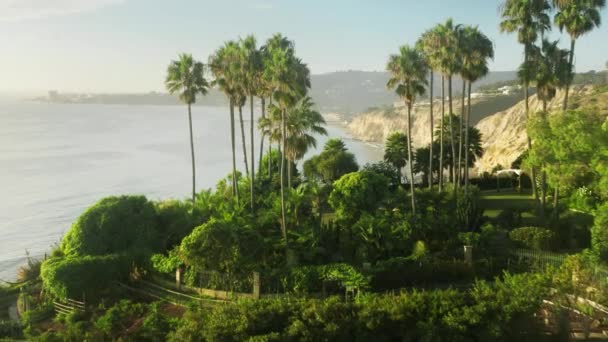 4K anténa La Jolla mořské útesy s bohatou palmovou zahradou a zlatým západem slunce USA — Stock video