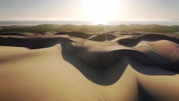 Vista aérea de dunas de areia, dando proteção contra as tempestades oceânicas — Vídeo de Stock