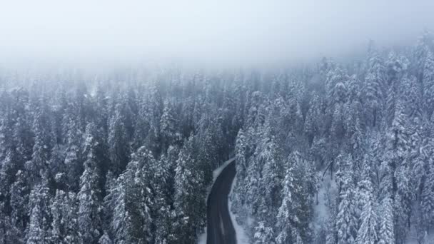 Vista aérea cinematográfica de invierno con vistas a la carretera en densos pinos cubiertos de nieve — Vídeos de Stock