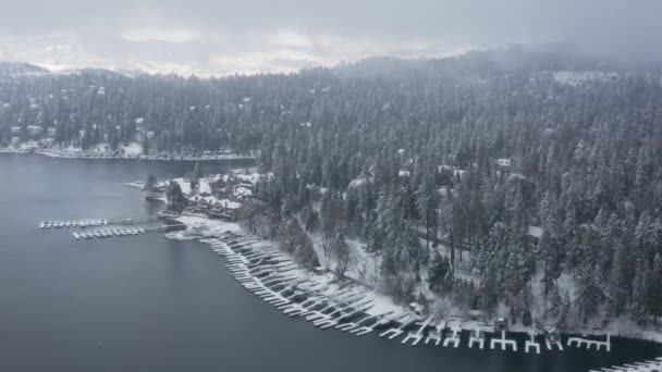 Sezon zimowy zaśnieżony górski las powietrzny zapierający dech w piersiach naturalny krajobraz 4K USA — Wideo stockowe