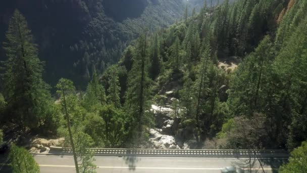 Vista panorámica del valle de Yosemite con una ruta a través de un denso bosque verde — Vídeos de Stock