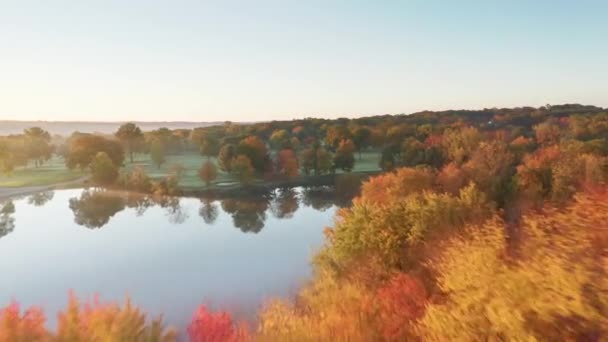 Όμορφη φθινοπωρινή σκηνή φυλλώματος με επικό τοπίο φθινοπωρινή φύση στη χρυσή ανατολή — Αρχείο Βίντεο
