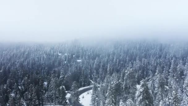 Krajobraz górski Winter Wonderland z kinową zimową drogą leśną, antena — Wideo stockowe