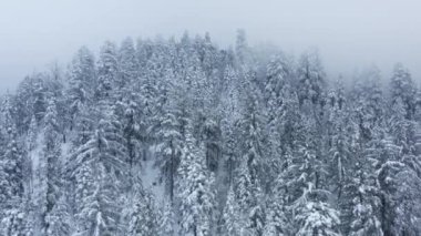 Sihirli tatil sezonu geçmişi, Mutlu Noeller 4K