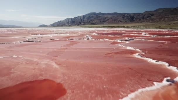 カリ塩の採掘 白い赤い色の工業用採石場の塩蒸発空中ビュー 肉のような赤いテクスチャとパターン上のドローンビュー オーエンス湖In Death Valley カリフォルニア州 アメリカ Airal — ストック動画