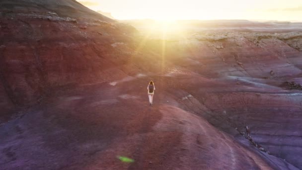 Young adventurous woman walking by pink purple desert mountain hill, Utah USA 4K — Stock Video