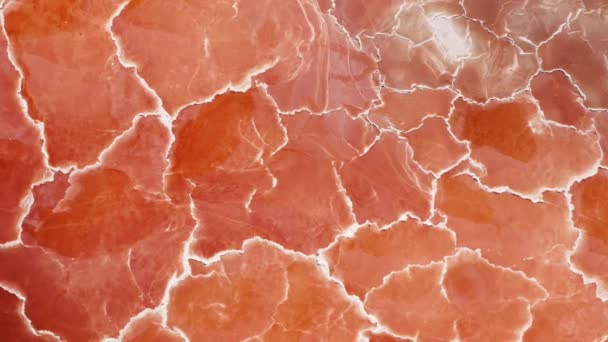Cinematic overhead orange natur struktur ser ut som kött eller prosciutto skinka 4K — Stockvideo