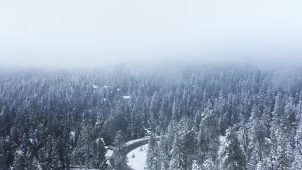 Drone aéreo voando através de tempestade de neve pesada na paisagem de montanha de inverno 4K — Vídeo de Stock