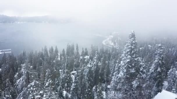 Volando a través de copos de nieve y nubes de niebla sobre el bosque de montaña a un lago helado — Vídeos de Stock
