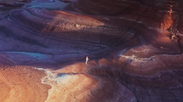 Happy traveler woman on wanderlust adventure trip in colorful desert landscape — Stock Video