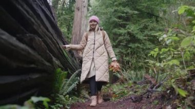 Kadın el çevreci eylemci, ağaç kabuğu orman kadını doğaya nazikçe dokunuyor. 