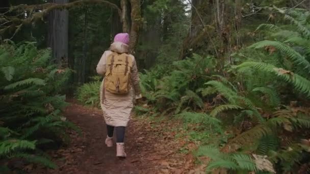 Slow motion back view of female traveler walking by lavish green forest park USA — Stockvideo