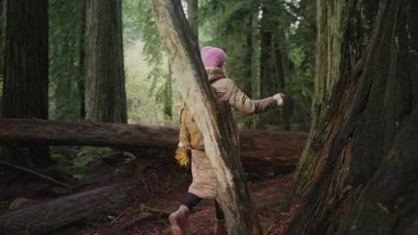 Mujer entorno de apoyo palmera tronco de árbol gigante con corteza cubierta de musgo verde — Vídeos de Stock