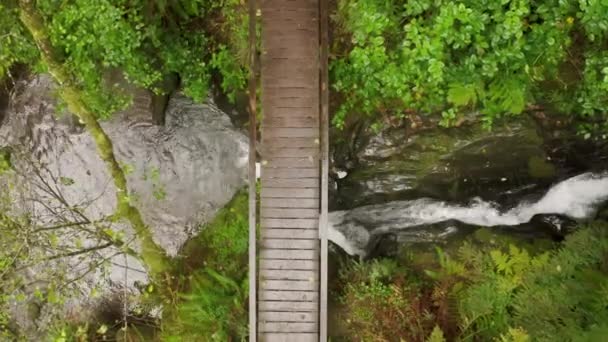 Вид зверху вниз на повітря молода жінка, що йде дерев'яним мостом над струмковим лісом 4K — стокове відео