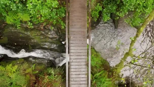 Ponte cinematográfica sobre o rio cachoeira na floresta tropical verde, fundo da natureza 4K — Vídeo de Stock