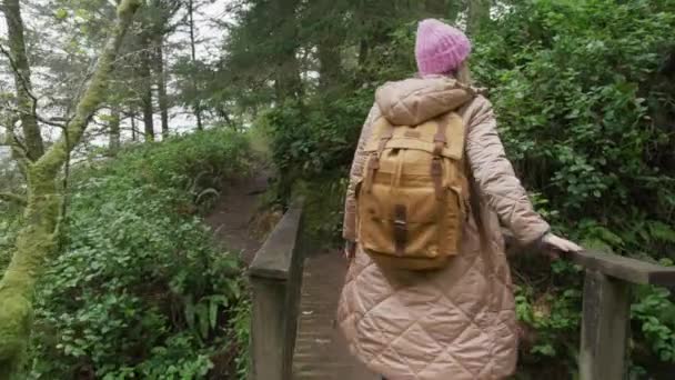 Camera volgt vrouw op reis, reiziger wandelen in prachtige berg regenwoud — Stockvideo