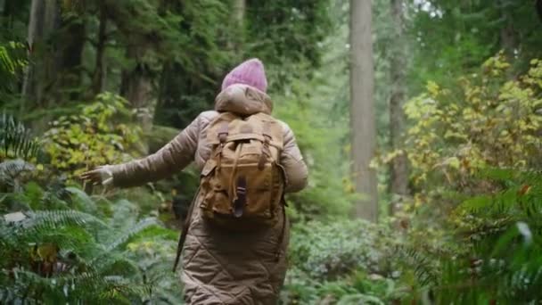 การเคลื่อนไหวช้า หญิงสาวปีนเขาในป่าในฤดูใบไม้ร่วง ผู้หญิงที่เคลื่อนไหวพร้อมกระเป๋าเป้ — วีดีโอสต็อก