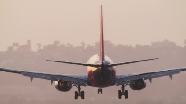 Gros avion de passagers atterrissant à l'aéroport — Video