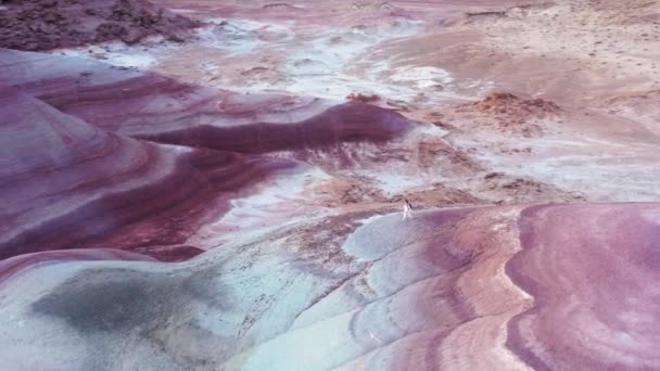 Ongelooflijke antenne schilderachtige kleurrijke roze paarse landschap, meisje loopt door heuvel — Stockvideo