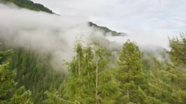 Tepeden bakıldığında el değmemiş kırsal doğanın güzel manzarası.