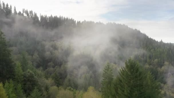 Drone beelden van de pittoreske ongerepte natuur met dikke mist — Stockvideo