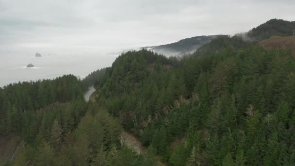 Luchtfoto van het ongerepte natuurlijke landschap van de afgelegen kustlijn van de Stille Oceaan — Stockvideo