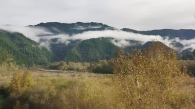 Kuşların gözü yeşilimsi manzarayı görür, sabah beyaz sisle kaplanır.