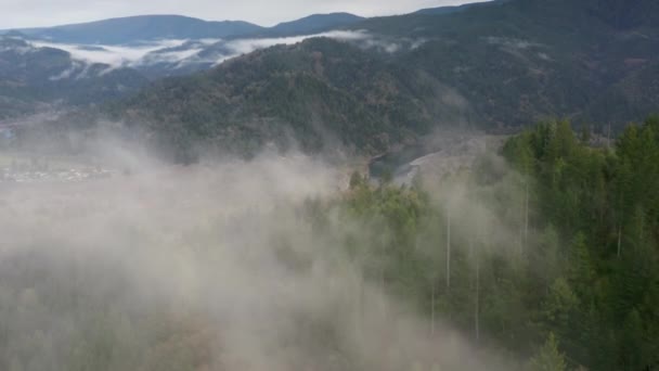 Dronové záběry malebné nedotčené přírody s hustou mlhou — Stock video